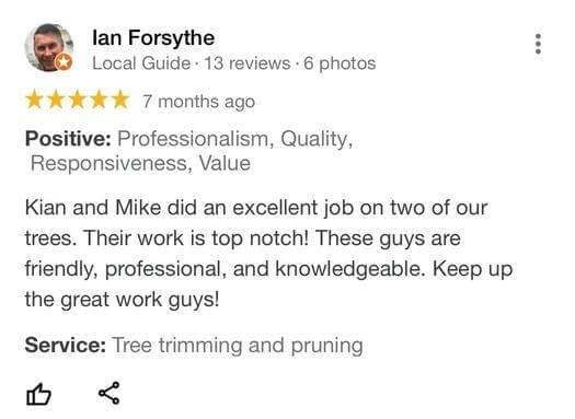 tree removal, tree pruning, tree trimming, arborist, tree care, tree service