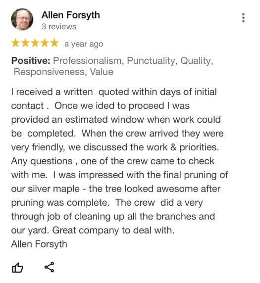 tree removal, tree pruning, tree trimming, arborist, tree care, tree service