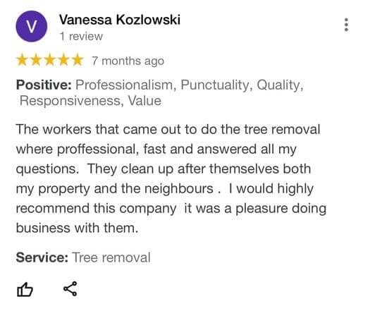 tree removal, tree pruning, tree trimming, arborist, tree care, tree service