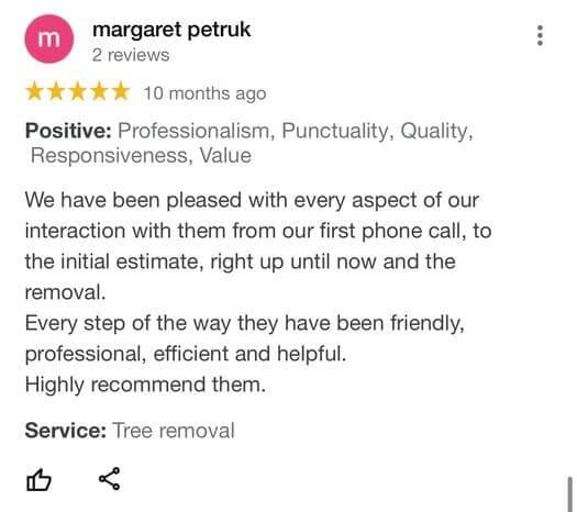 tree removal, tree pruning, tree trimming, arborist, tree care, tree service