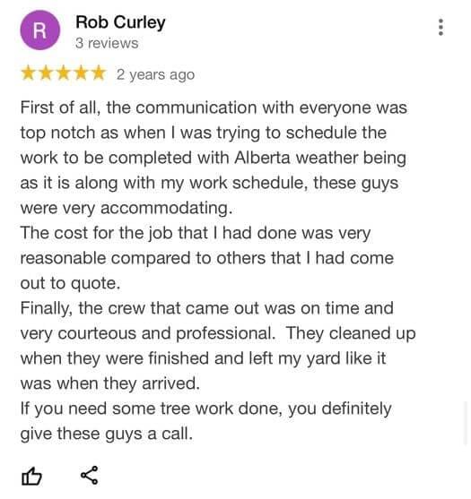 tree removal, tree pruning, tree trimming, arborist, tree care, tree service