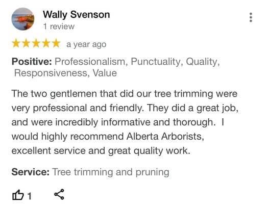 tree removal, tree pruning, tree trimming, arborist, tree care, tree service